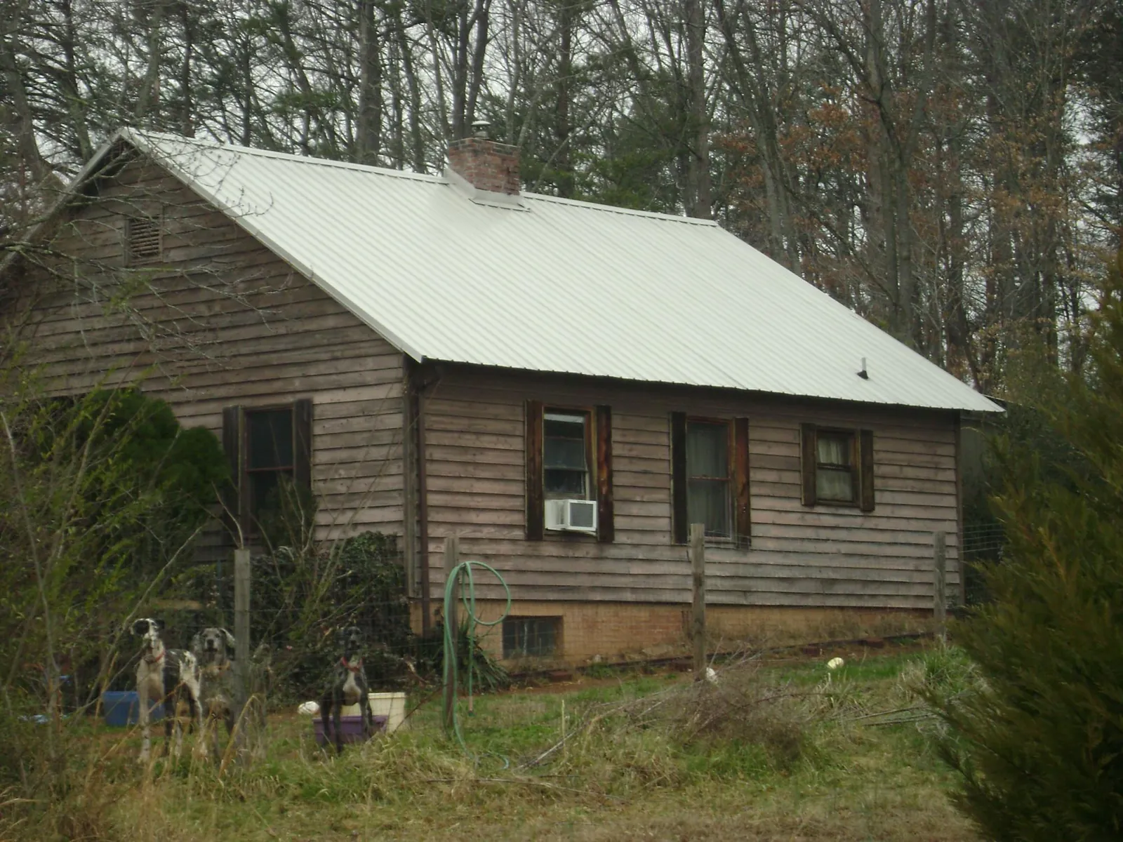 White metal roof on an old wood sided farmhouse, from a Asphalt Shingle Roof Repair job in Burlington